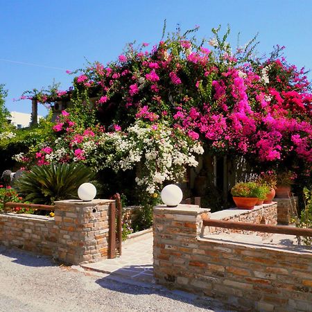 Kastrákion Dimitra Studios المظهر الخارجي الصورة