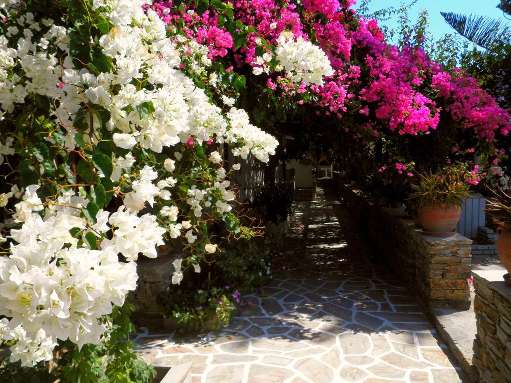 Kastrákion Dimitra Studios الغرفة الصورة